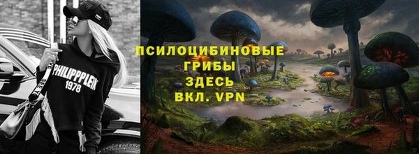 молекула духа Нефтегорск