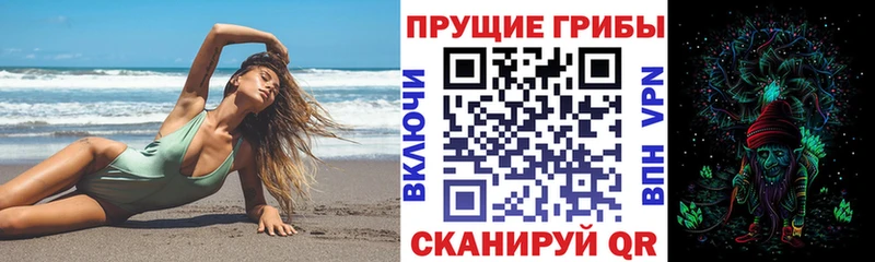 Галлюциногенные грибы Psilocybine cubensis  Купить где  Городец 